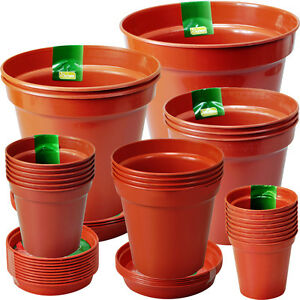 Plant Pots & Saucers