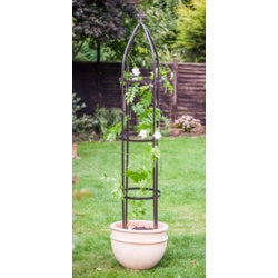 Apollo Garden Obelisk