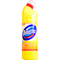 Domestos Bleach 750ml Citrus Fresh