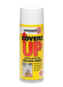 Zinsser Paint Ceiling Cover Up
