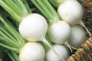 Turnip Snowball Seeds